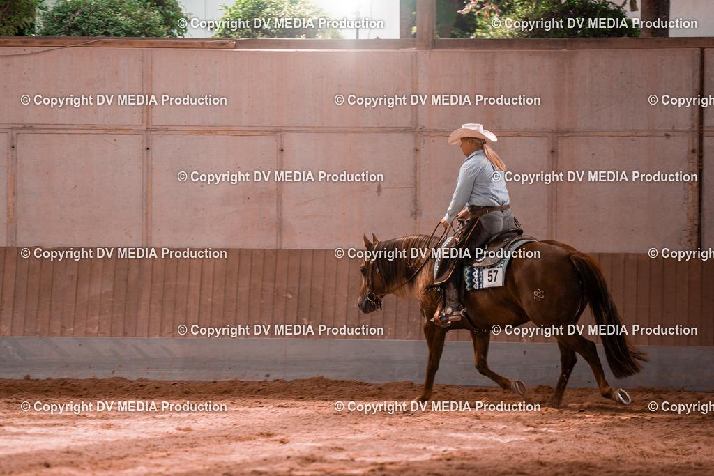 NE200483 | dv-media-shop - Realisiert mit Pictrs.com