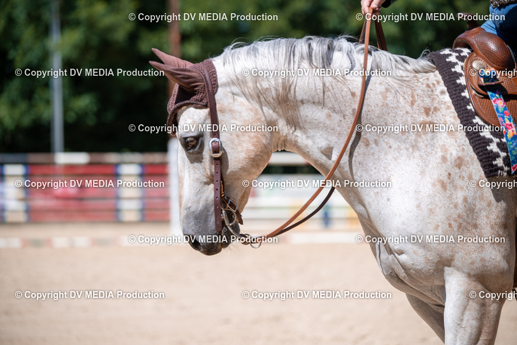 ZS1_1467 | dv-media-shop - Realisiert mit Pictrs.com