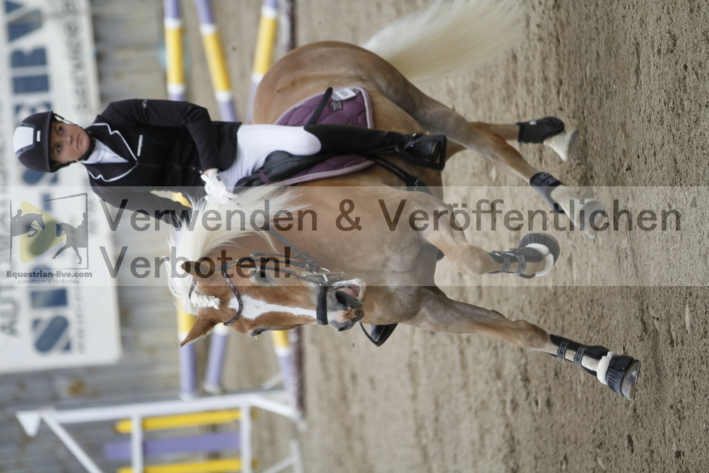 _MG_1106 | equestrian-live-com