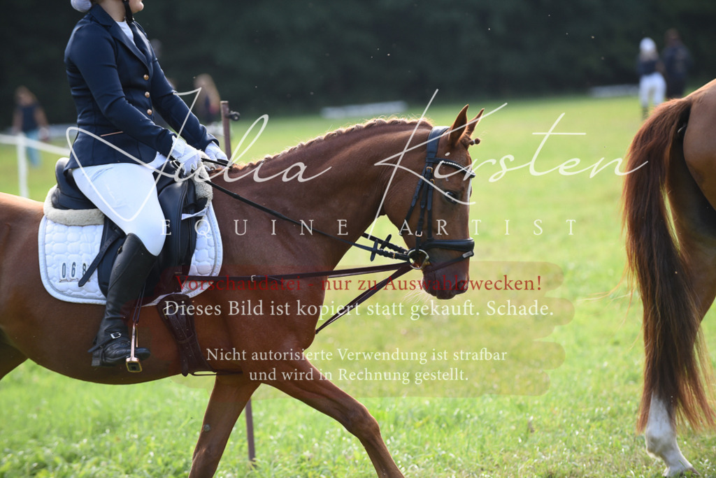 DSC_8542 | Pferde- und Turnierfotografie in Westsachsen. Pferdeportraits, Auftragszeichnungen und intuitive Kunst.
