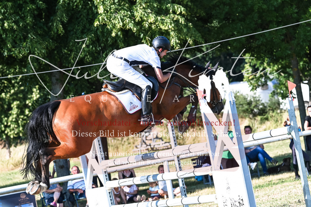 DSC_2687 | Pferde- und Turnierfotografie in Westsachsen. Pferdeportraits, Auftragszeichnungen und intuitive Kunst.