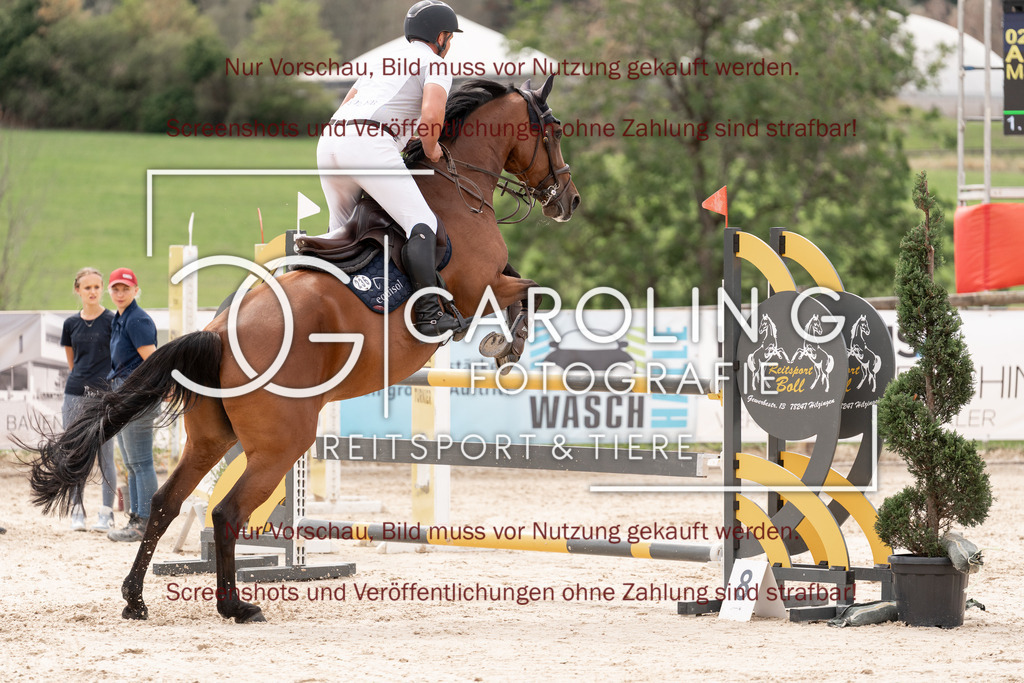 DSC06590 | Springturnier_Teamchallege_Talheim_2026, Alexander_Auer, Ma_Belle_98