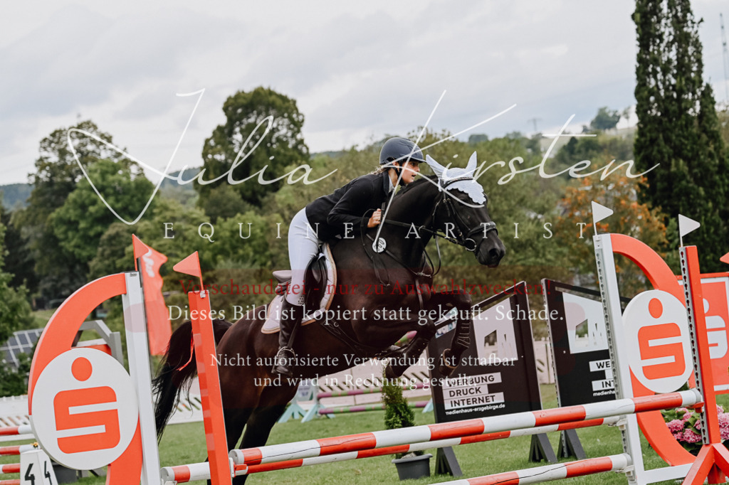 DSC_6808 | Pferde- und Turnierfotografie in Westsachsen. Pferdeportraits, Auftragszeichnungen und intuitive Kunst.