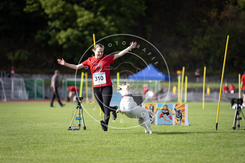 Pfotenfotografie_DV3A1709 | Hundefotografie, Tierfotograf, Pfotenfotografie, Fotoshooting Hund, Hunde Portrait, Hundesport, Hundeportraits, Heideshooting, Hunde, Sportfotograf, Hundefotograf, Turnierhundsport, THS,  - Realisiert mit Pictrs.com