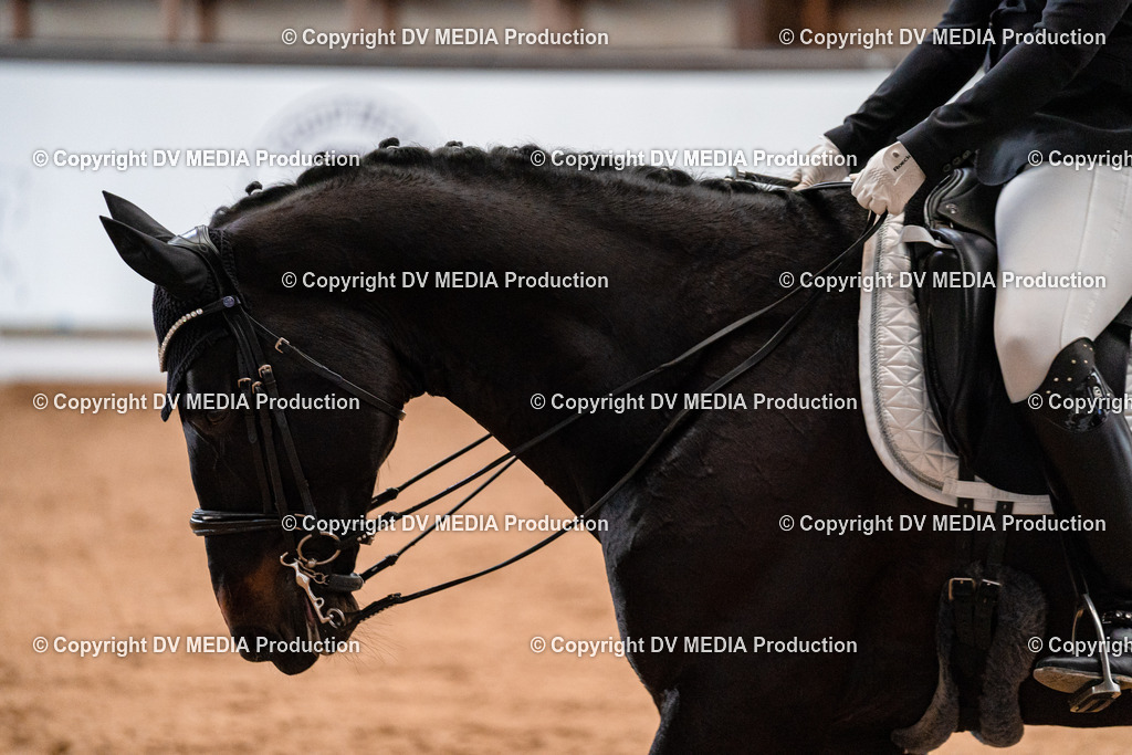 Kranichstein Tag 1-293 | dv-media-shop - Realisiert mit Pictrs.com