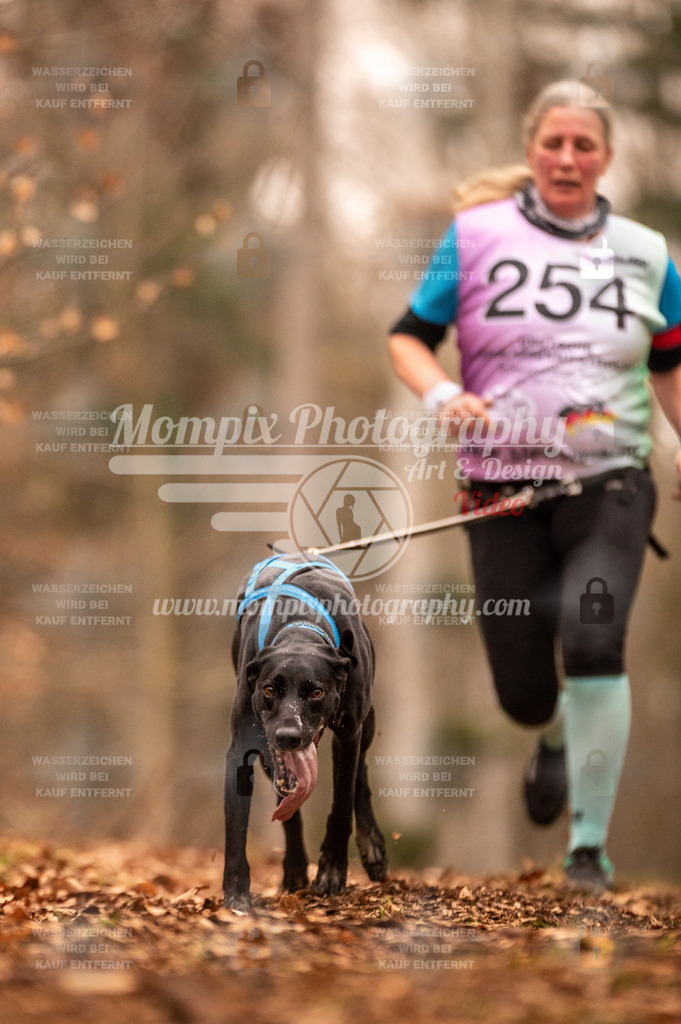 AKM_ST_2023_SAM_Run-157 | PayLife