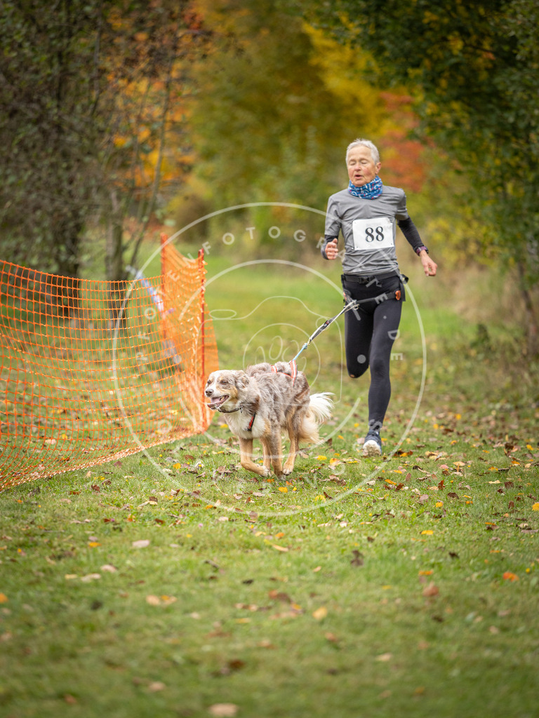 Pfotenfotografie_DV3A3215 | Hundefotografie, Tierfotograf, Pfotenfotografie, Fotoshooting Hund, Hunde Portrait, Hundesport, Hundeportraits, Heideshooting, Hunde, Sportfotograf, Hundefotograf, Turnierhundsport, THS,  - Realisiert mit Pictrs.com
