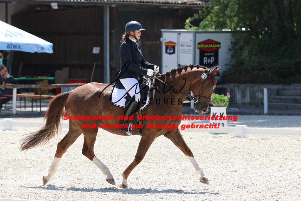 IMG_4925 | lmwpictures - Realisiert mit Pictrs.com