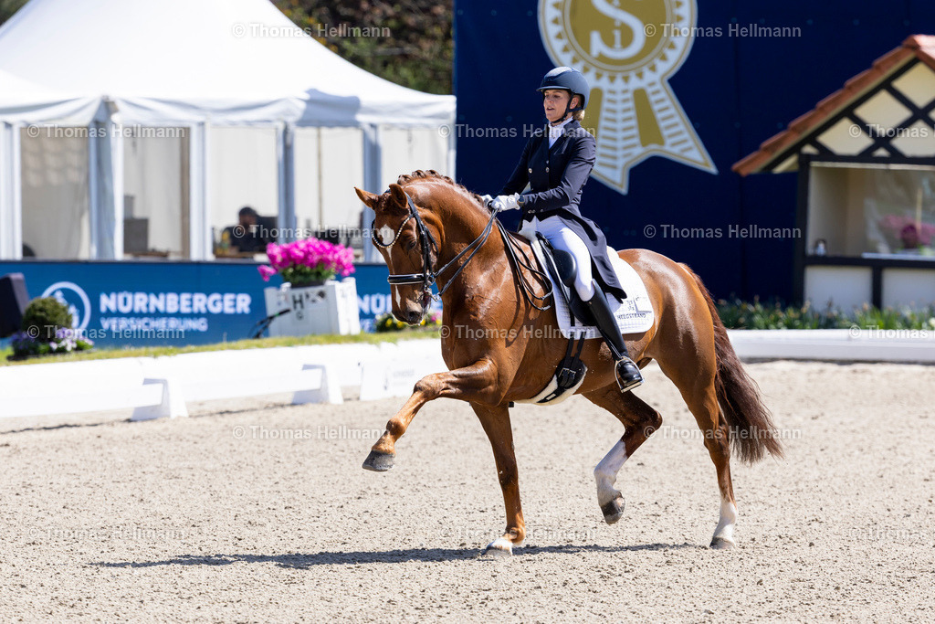 TH_383-HELGSTRAND Marianne (DEN)_ Valerio 42_36582 | Horses &amp; Dreams 2026 am 26.04.26 in Hagen a.T.W., Thomas Hellmann, 383HELGSTRAND Marianne (DEN), Valerio 42
