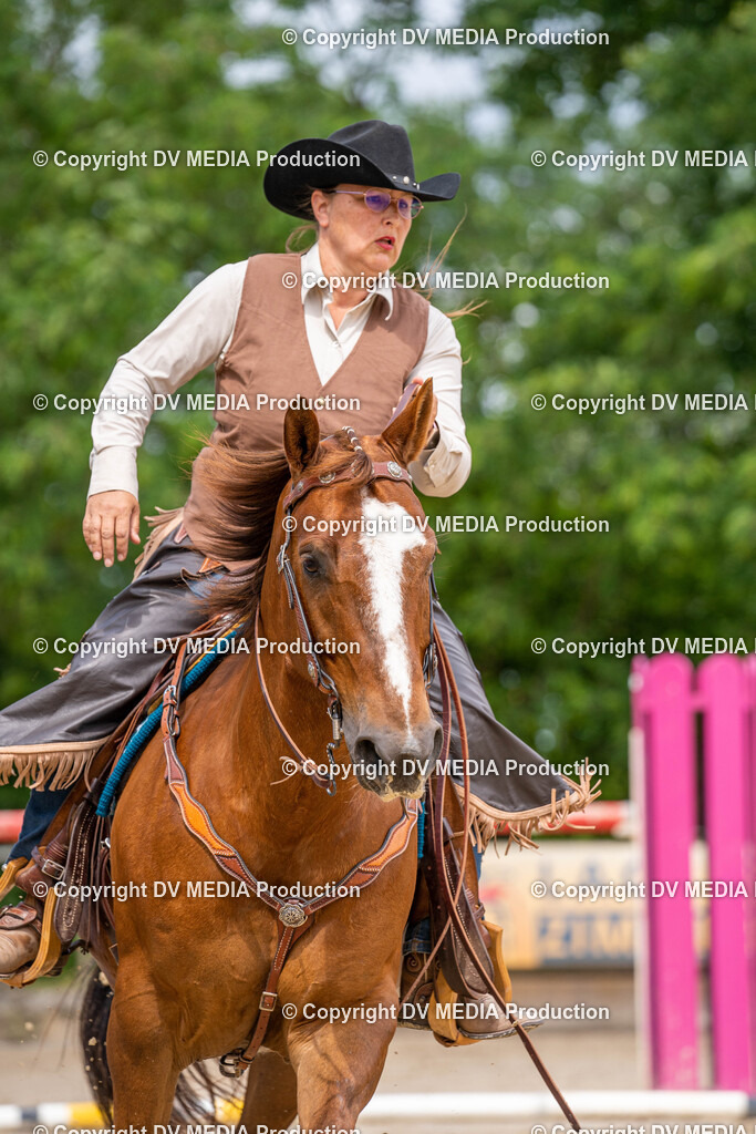 Zeiskam Tag 1-1000 | dv-media-shop - Realisiert mit Pictrs.com