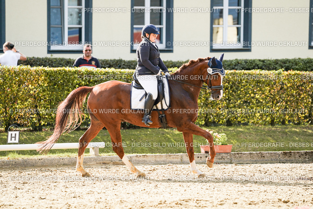 DSC07907 | Pferdegrafie