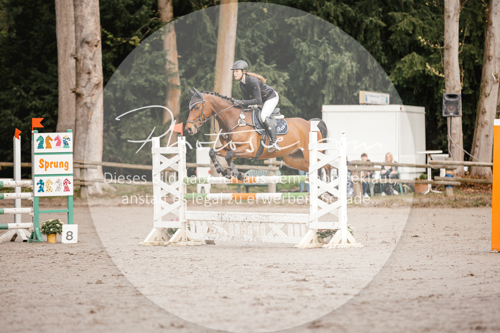 3I6A3169 | Stimmungsvolle Portraits und Reitsportfotografie im Ruhrgebiet und im Münsterland.

Pferdefotografie, Hundefotografie, Tierfotografie, Reportagen, Portraits von Tier und Mensch, Turnierfotografie in Bochum, Recklinghausen, Marl, Haltern am See, Dülmen.. - Realisiert mit Pictrs.com