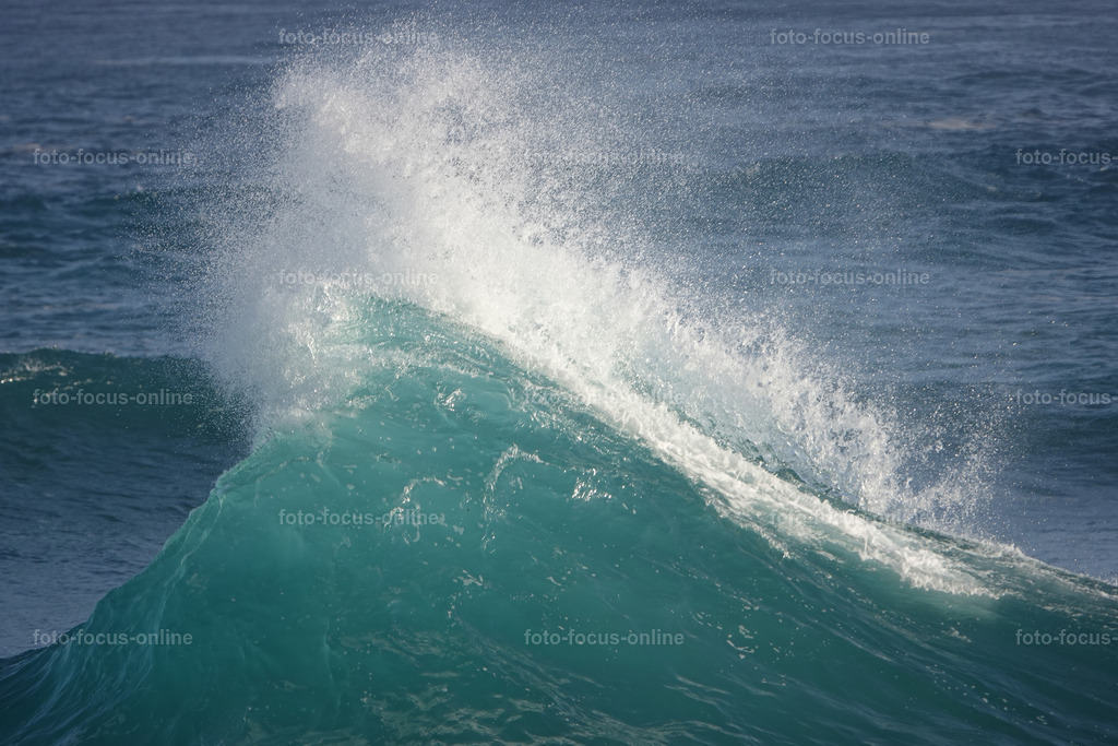 Wild Waves | Wild Waves Atlantic