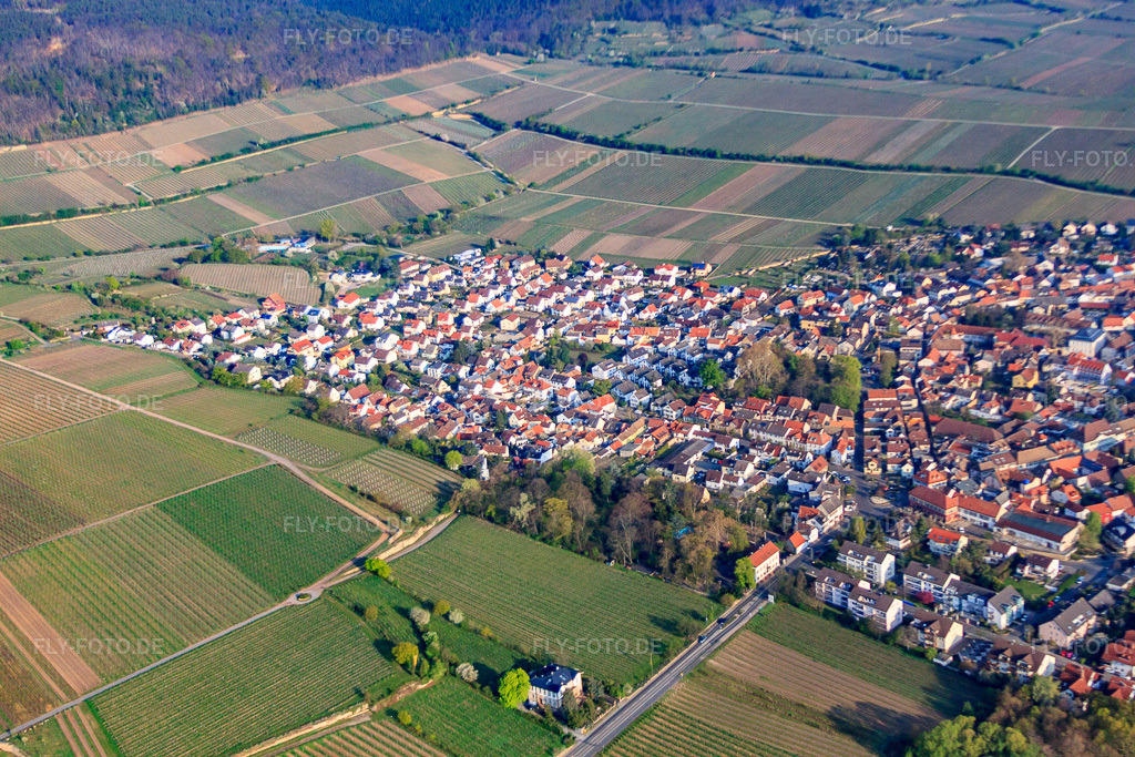 Luftbild: Zum Weinberg, Mühltalstr in Deidesheim im Bundesland Rheinland-Pfalz in Deutschland. Foto: IMG_49630.jpg vom 13.04.2012 durch Werner Riehm/FLY-FOTO.de