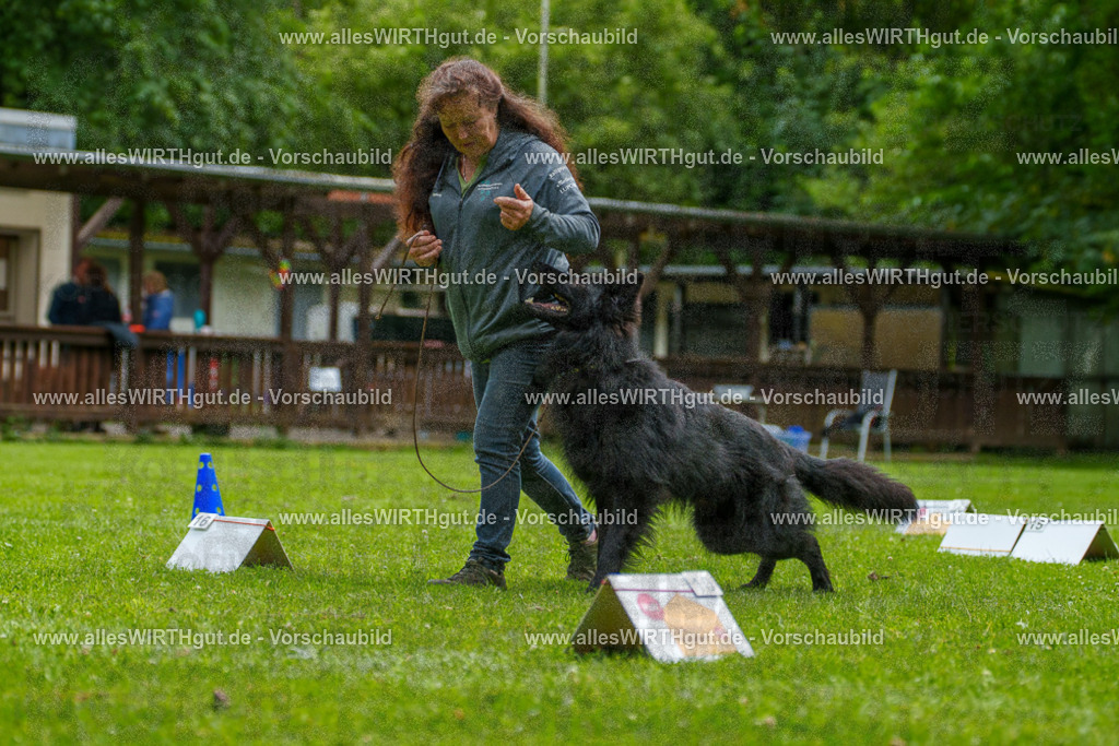 @allesWIRTHgut_Tierfotografie - www.allesWIRTHgut.de - 7R501772 | Professionelle Tierfotografie in Mönchengladbach von Daniel Wirth (allesWIRTHgut). Liebevolle & natürliche Bilder von Hunden & Katzen für unvergessliche Erinnerungen.