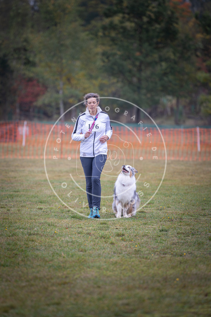 Pfotenfotografie_DV3A9401 | Hundefotografie, Tierfotograf, Pfotenfotografie, Fotoshooting Hund, Hunde Portrait, Hundesport, Hundeportraits, Heideshooting, Hunde, Sportfotograf, Hundefotograf, Turnierhundsport, THS,  - Realisiert mit Pictrs.com