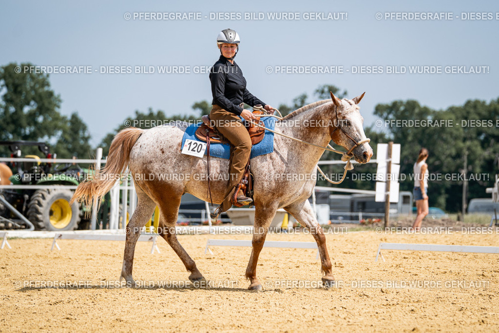 DSC00549 | Pferdegrafie