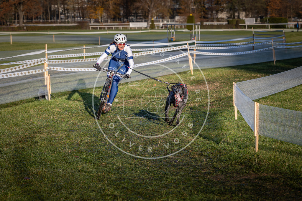 CaniXpix_0L8A3583 | Hundefotografie, Tierfotograf, Pfotenfotografie, Fotoshooting Hund, Hunde Portrait, Hundesport, Hundeportraits, Heideshooting, Hunde, Sportfotograf, Hundefotograf, Turnierhundsport, THS,  - Realisiert mit Pictrs.com