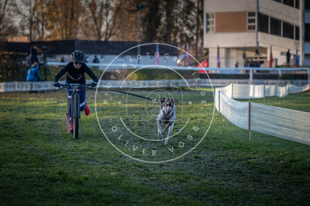 CaniXpix_0L8A2675 | Hundefotografie, Tierfotograf, Pfotenfotografie, Fotoshooting Hund, Hunde Portrait, Hundesport, Hundeportraits, Heideshooting, Hunde, Sportfotograf, Hundefotograf, Turnierhundsport, THS,  - Realisiert mit Pictrs.com