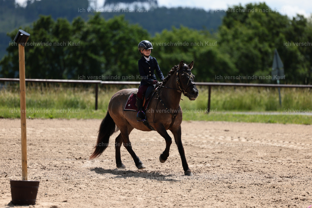 KlasseA_Stoibphotography_C2_L5652.JPG | working equitationturnier fotograf videograf stoibphotography marixx film working equitation deutschland reitsport turnierfotografie eventfotografie equestrian events