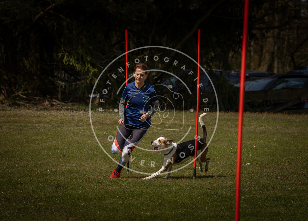 Pfotenfotografie_DV3A4440 | Hundefotografie, Tierfotograf, Pfotenfotografie, Fotoshooting Hund, Hunde Portrait, Hundesport, Hundeportraits, Heideshooting, Hunde, Sportfotograf, Hundefotograf, Turnierhundsport, THS,  - Realisiert mit Pictrs.com