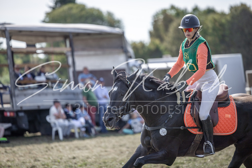 20250907-_3LI2195 | Tierfotografie Pferde, Hunde, Katzen, Haustiere.
Turnierfotografie Reitturniere, Reiten, Springreiten, Dressur in Hanau, dem Main-Kinzig-Kreis und dem Rhein-Main- Gebiet um Frankfurt