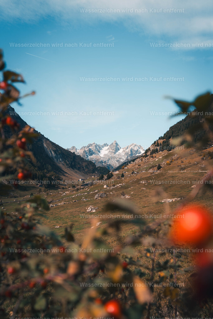 DSC01159 | FramedWorld - Realisiert mit Pictrs.com