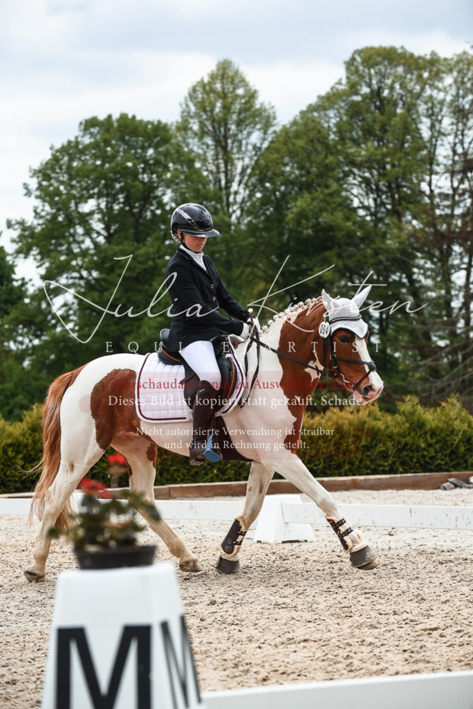 20230518_JK-Röhrsdorf-10-640 | Pferde- und Turnierfotografie in Westsachsen. Pferdeportraits, Auftragszeichnungen und intuitive Kunst.