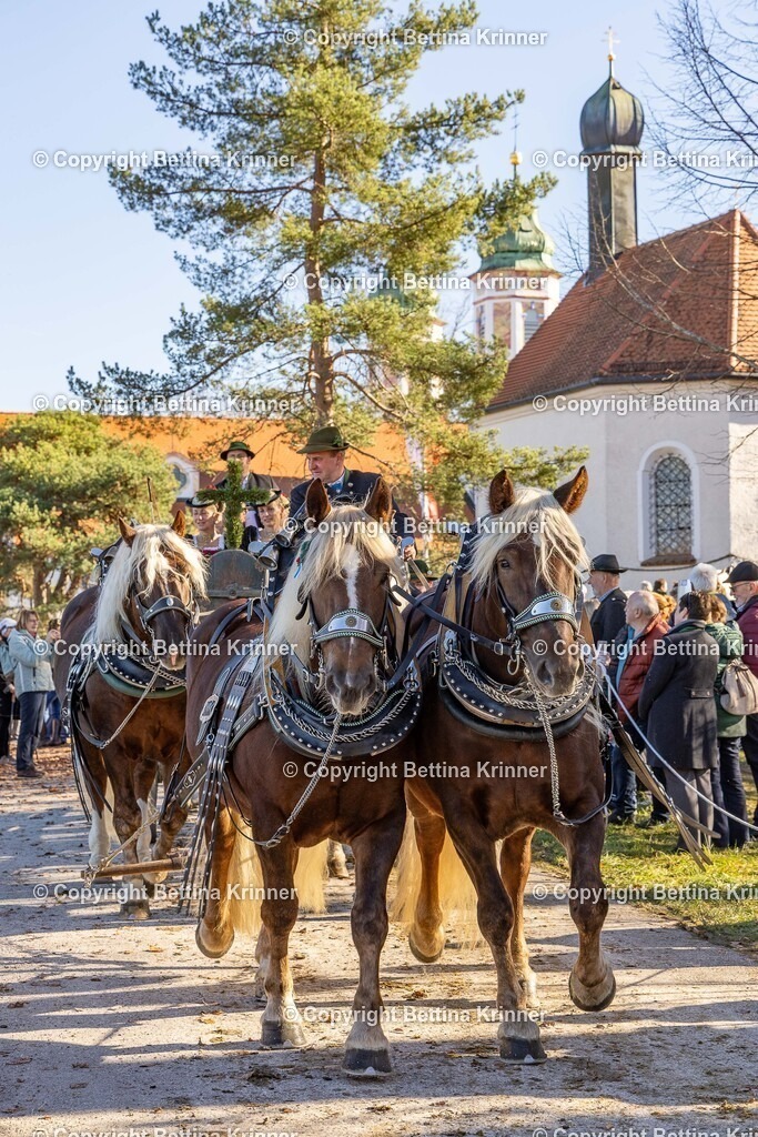 LBT25-1249 | foto-bettina-krinner - Realisiert mit Pictrs.com