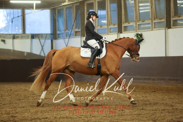 IMG_7071 | Turniersportfotografie; Pferdefotografie; Dressurfotografie