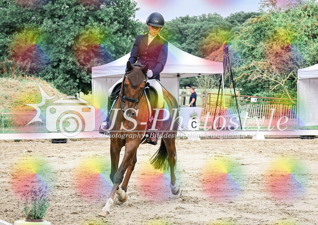 20250726_Dressurprüfung Kl.L Kandare-165 | JS-Photostyle - Sport-/Portrait- & Eventfotografie