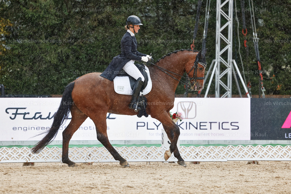 8_2-149-DRESSUR S_  -StoibPH-4478 | working equitationturnier fotograf videograf stoibphotography marixx film working equitation deutschland reitsport turnierfotografie eventfotografie equestrian events