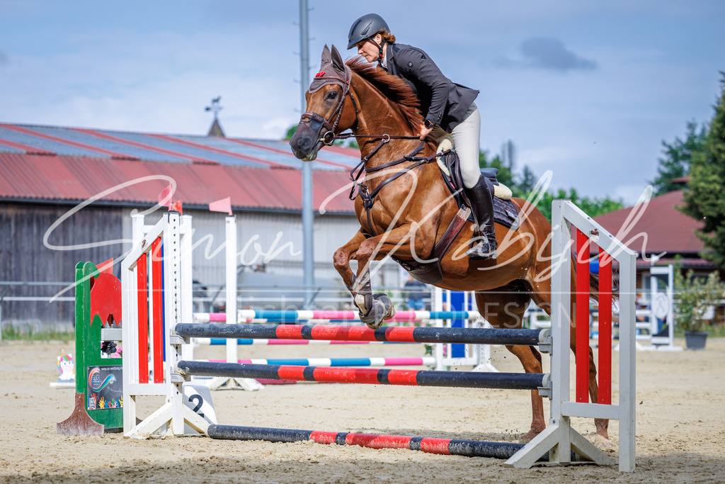 20260705-_3LI3828 | Tierfotografie Pferde, Hunde, Katzen, Haustiere.
Turnierfotografie Reitturniere, Reiten, Springreiten, Dressur in Hanau, dem Main-Kinzig-Kreis und dem Rhein-Main- Gebiet um Frankfurt