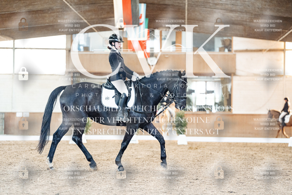 CK906939 | Turnierfotografie Pferdefotografie Trier Rheinland-Pfalz Pferdesport Reitsport Tierfotografie Sportfotografie Pferdevideo Pferdevideografie Equestrianvideography equestrianphotography  - Realisiert mit Pictrs.com