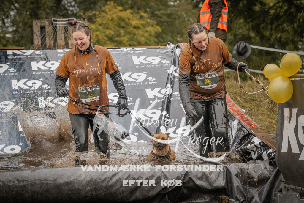 0935_ZZ90494 | kk-dogfotos