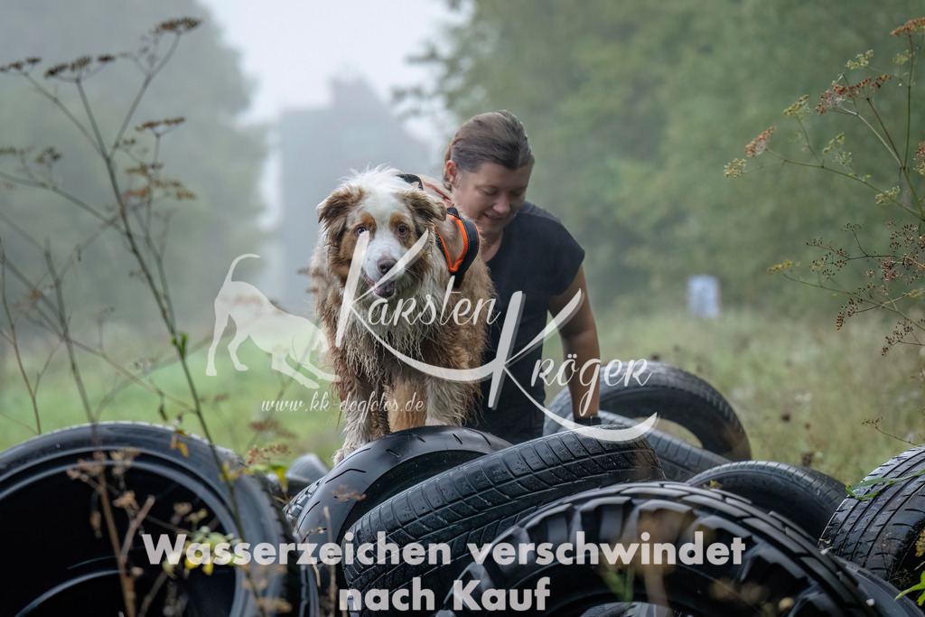 0831_ZZ90039-Bearbeitet | kk-dogfotos