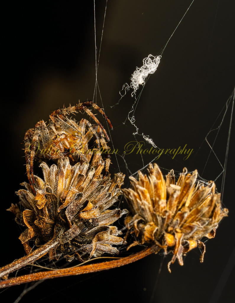 P 8 | Christian Vulin  - Realisiert mit Pictrs.com