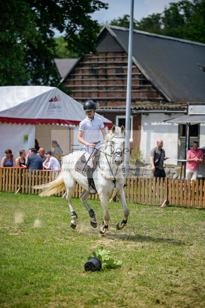 Reitturnier Voxtrup | Entdecke hochwertige Reitturnierfotos von Foto Oger. Professionell, emotional und authentisch – jetzt Lieblingsmomente im Shop bestellen.Deutschlandweite Turnierfotografie. - Realisiert mit Pictrs.com