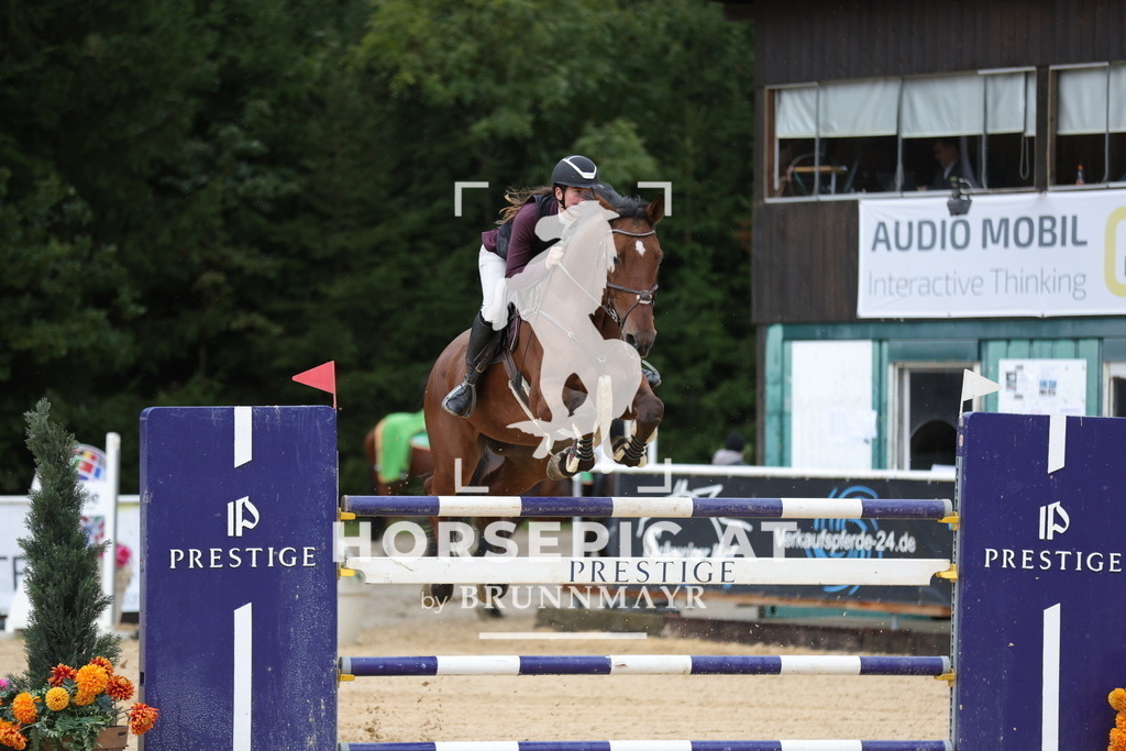 0P6A9869 | Willkommen bei Brunnmayr - Design & Fotografie – Ihrem Spezialisten für Reitturniere und Pferdeveranstaltungen in Oberösterreich, Salzburg und Bayern! Seit über 17 Jahren sind wir leidenschaftlich dabei.