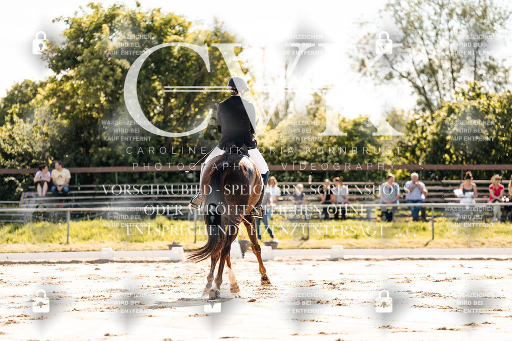 CK909163 | Turnierfotografie Pferdefotografie Trier Rheinland-Pfalz Pferdesport Reitsport Tierfotografie Sportfotografie Pferdevideo Pferdevideografie Equestrianvideography equestrianphotography  - Realisiert mit Pictrs.com