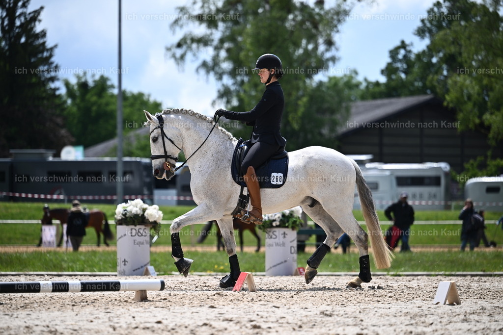 PI26_SP_Sara_Landvogt_226_5691.JPG | working equitationturnier fotograf videograf stoibphotography marixx film working equitation deutschland reitsport turnierfotografie eventfotografie equestrian events
