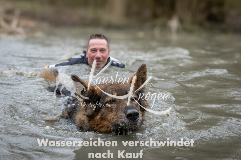 1113_ZZ97626 | kk-dogfotos