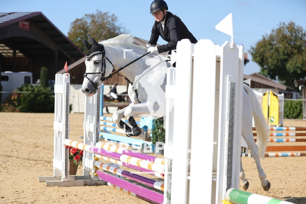 0P6A8148 | Willkommen bei Brunnmayr - Design & Fotografie – Ihrem Spezialisten für Reitturniere und Pferdeveranstaltungen in Oberösterreich, Salzburg und Bayern! Seit über 17 Jahren sind wir leidenschaftlich dabei.