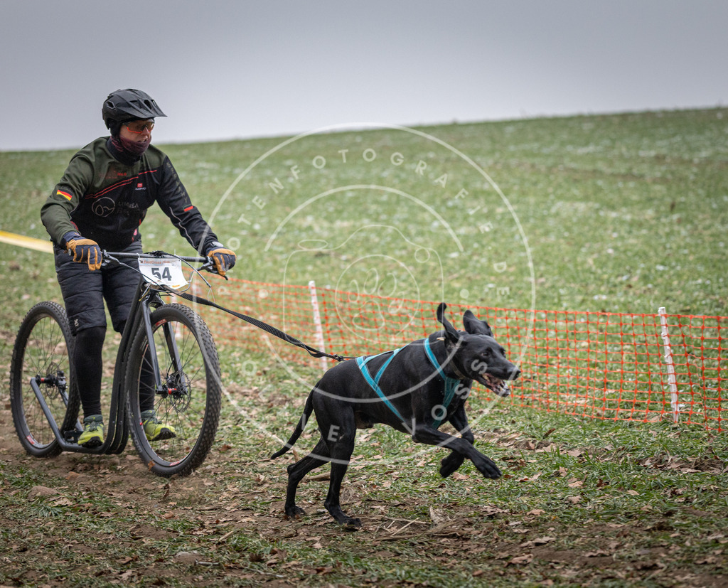 Pfotenfotografie_DV3A1153 | Hundefotografie, Tierfotograf, Pfotenfotografie, Fotoshooting Hund, Hunde Portrait, Hundesport, Hundeportraits, Heideshooting, Hunde, Sportfotograf, Hundefotograf, Turnierhundsport, THS,  - Realisiert mit Pictrs.com
