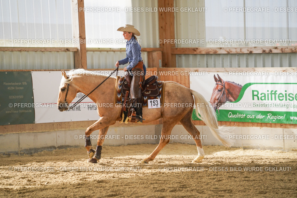 DSC05921 | Pferdegrafie