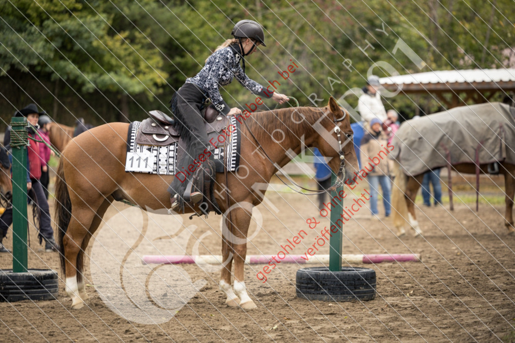 CON_9376 | Sport-, Event- und Tierfotos in Profiqualität. Einfach auswählen, bestellen und herunterladen. Dein Moment – perfekt festgehalten.