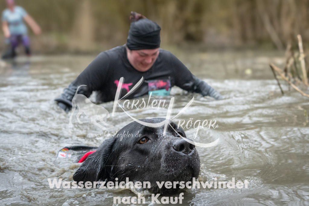 1106_ZZ96188 | kk-dogfotos