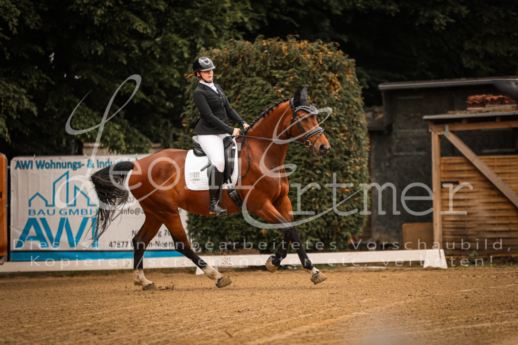 DoDrE00017 | Leoni Ertmer Photography - Realisiert mit Pictrs.com