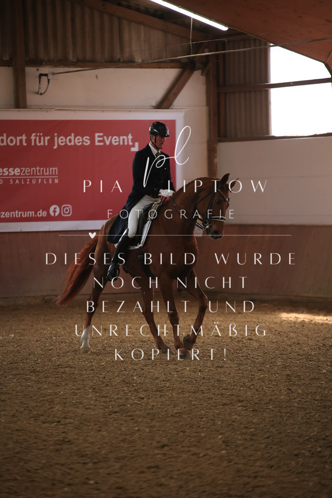 IMGT4187 | pl-fotografie