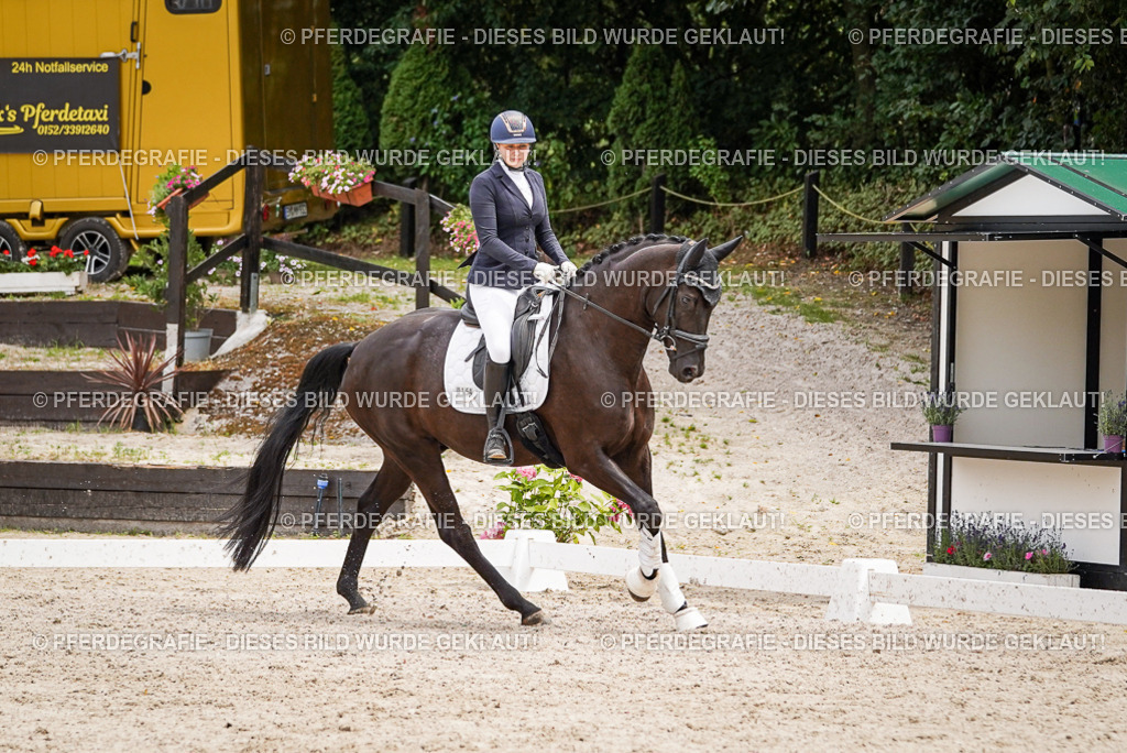 DSC04596 | Pferdegrafie